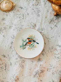 Image 1 of tiny birdy trinket dish