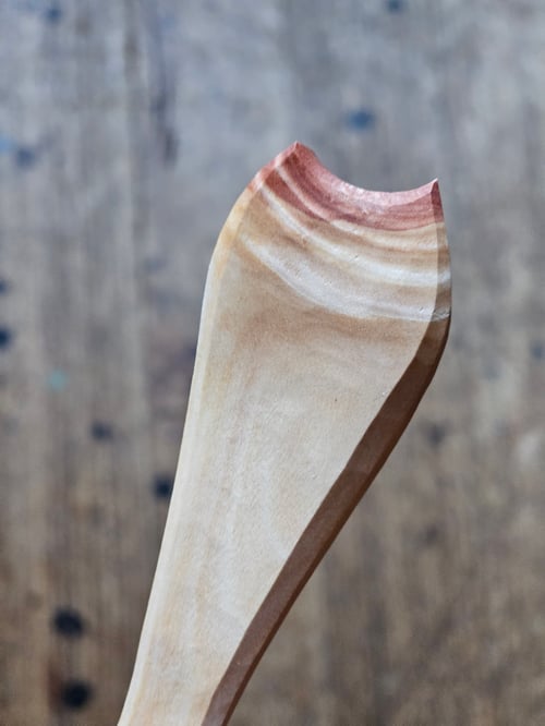 Image of Special Native Cherry Scoop