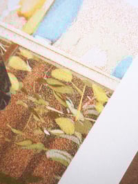 Image 3 of Exile in Sunflower (Detail) A5 Risograph Print