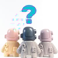 Image 1 of Astro Chonk!  Random Mix Matched Colors