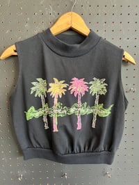 Image 1 of Beverly Hills palm crop #345