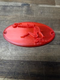 Image 4 of Cats Eye Taillight Lense 