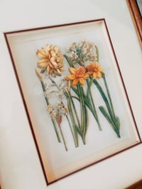 Image 3 of wood framed florals 