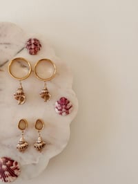 Image 1 of Seashell Dangles (Gold)
