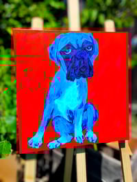 Image 1 of Blue Boxer Sitting on Red 16x16