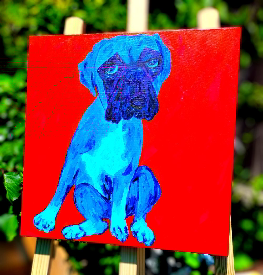 Blue Boxer Sitting on Red 16x16