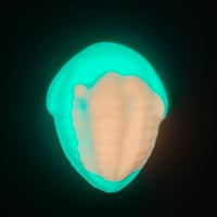 Image 2 of Large squishy- trilobite 