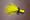 Image of Smallmouth River Popper
