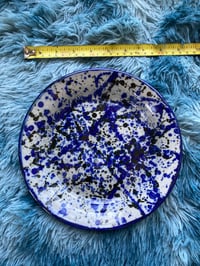 Image 1 of splatter plate 