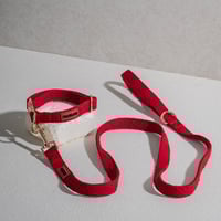 Image 1 of LOVE LUX COLLAR SET - ROUGE