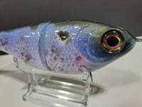 Image 2 of Skunk River Big Belly Shad 1