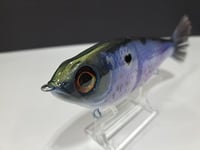 Image 4 of Skunk River Big Belly Shad 1