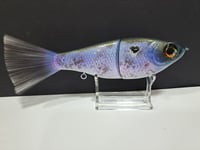 Image 5 of Skunk River Big Belly Shad 1