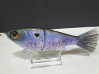 Image 6 of Skunk River Big Belly Shad 1