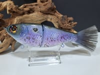 Image 1 of Skunk River Big Belly Shad 1