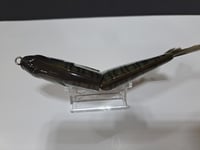 Image 5 of Skunk River Big Belly Shad 2