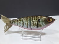 Image 1 of Skunk River Big Belly Shad 2