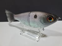 Image 2 of Skunk River Big Belly Shad