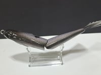 Image 4 of Skunk River Big Belly Shad