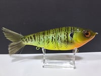 Image 2 of Skunk River Big Belly Shad 3