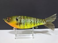 Image 4 of Skunk River Big Belly Shad 3