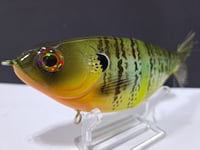Image 5 of Skunk River Big Belly Shad 3