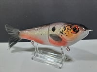 Image 3 of Skunk River Big Belly Shad 4