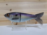 Image 1 of Skunk River Big Belly Shad 5