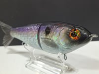Image 2 of Skunk River Big Belly Shad 5