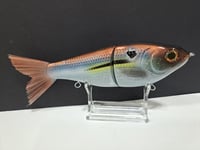 Image 2 of Skunk River Big Belly Shad 7