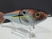 Image 3 of Skunk River Big Belly Shad 7