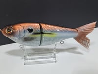 Image 4 of Skunk River Big Belly Shad 7
