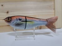 Image 1 of Skunk River Big Belly Shad 7