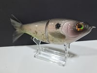 Image 2 of Skunk River Big Belly Shad 8