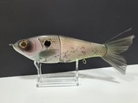 Image 1 of Skunk River Big Belly Shad 8