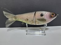 Image 4 of Skunk River Big Belly Shad 8