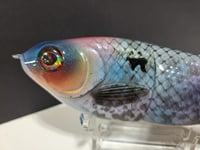 Image 4 of Skunk River Big Belly Shad 9