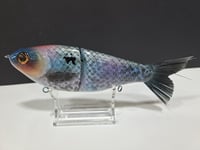 Image 5 of Skunk River Big Belly Shad 9