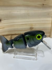 Image 6 of Fat Tony Swimbaits- Tamale ( Gathering Shad)