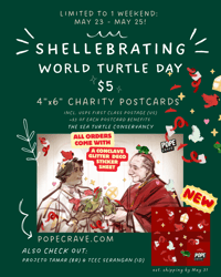 Image 1 of LIMITED: World Turtle Day Postcards (4x6) for Charity