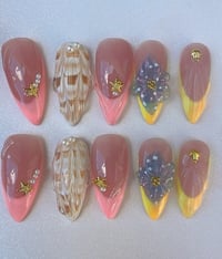Image 2 of SEASHELL BLOOM 