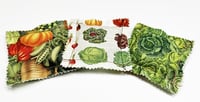 Image 1 of Catnip Ravioli - Set of 3