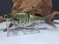 Image 2 of Biggs Custom Baits- 6" Glide 