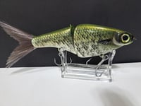 Image 3 of Biggs Custom Baits- 6" Glide 