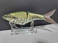 Image 5 of Biggs Custom Baits- 6" Glide 