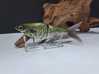 Image 1 of Biggs Custom Baits- 6" Glide 