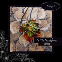 Image 9 of ☽ Vitis Vinifera ☾