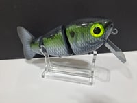 Image 4 of Fat Tony Swimbaits- Tamale ( Gathering Shad)