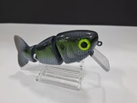 Image 2 of Fat Tony Swimbaits- Tamale ( Gathering Shad)