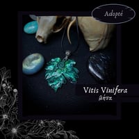 Image 2 of ☽ Vitis Vinifera ☾